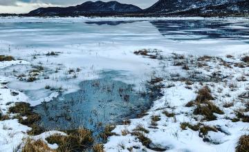 icy lake with grass growing through