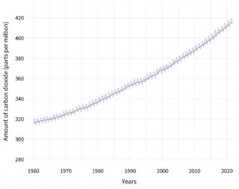 Atmospheric CO2 since 1960, showing a steady rise