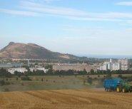 image shows a field in the foreground, behind which are office buildings and a hill