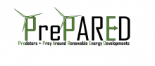 logo for prepared project